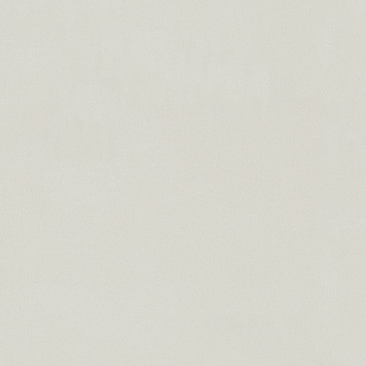 Korat_Eggwhite