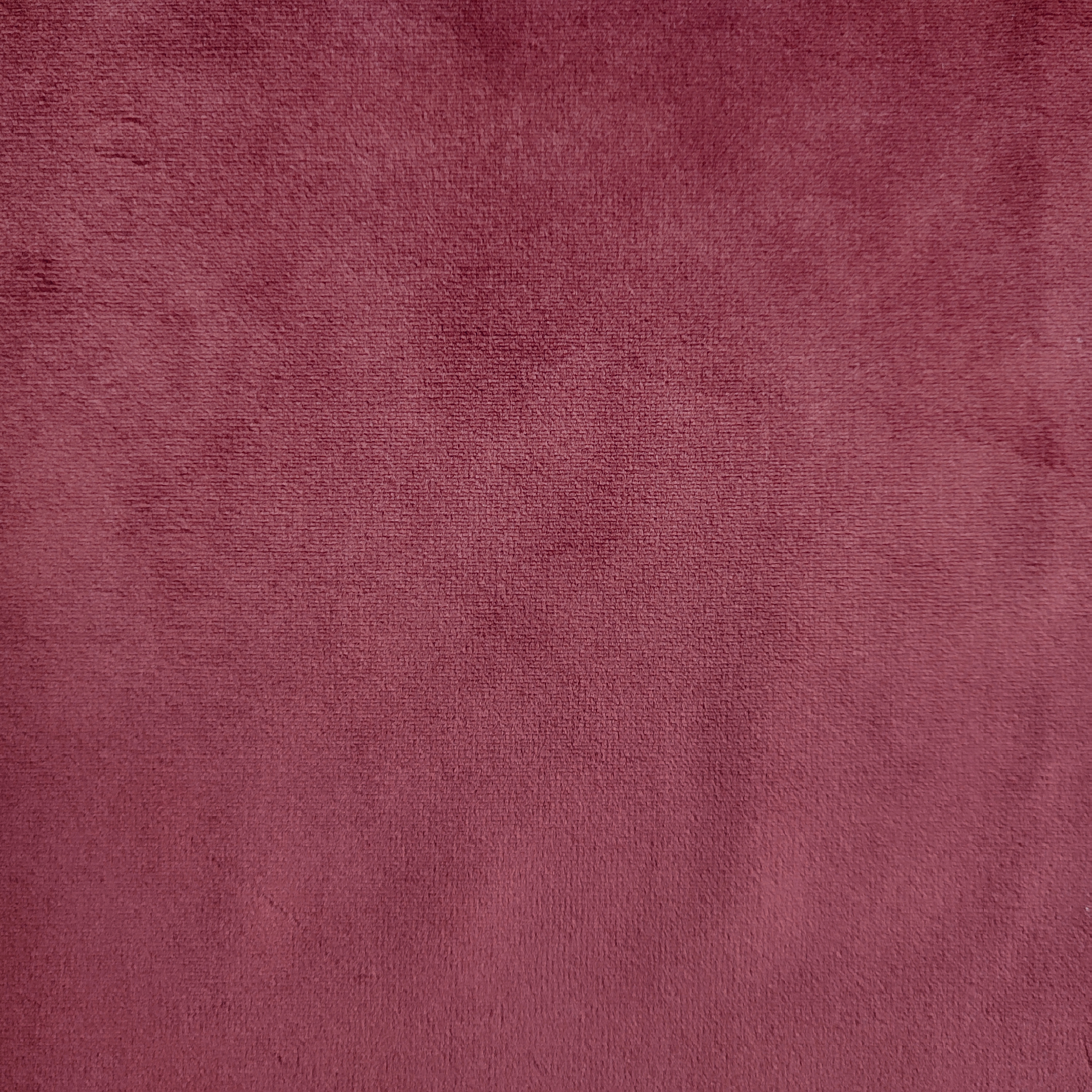Alfama_Merlot