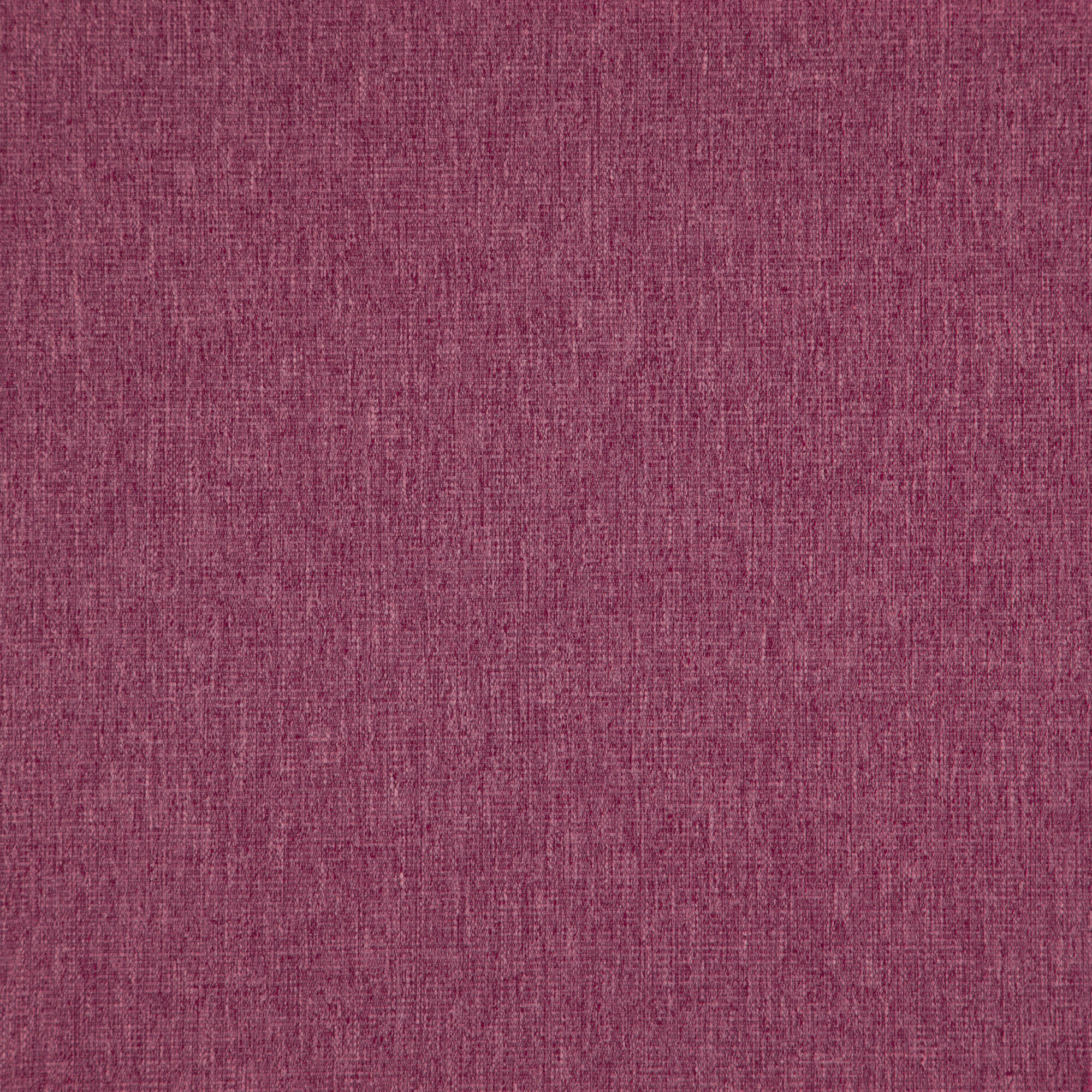 Speck
