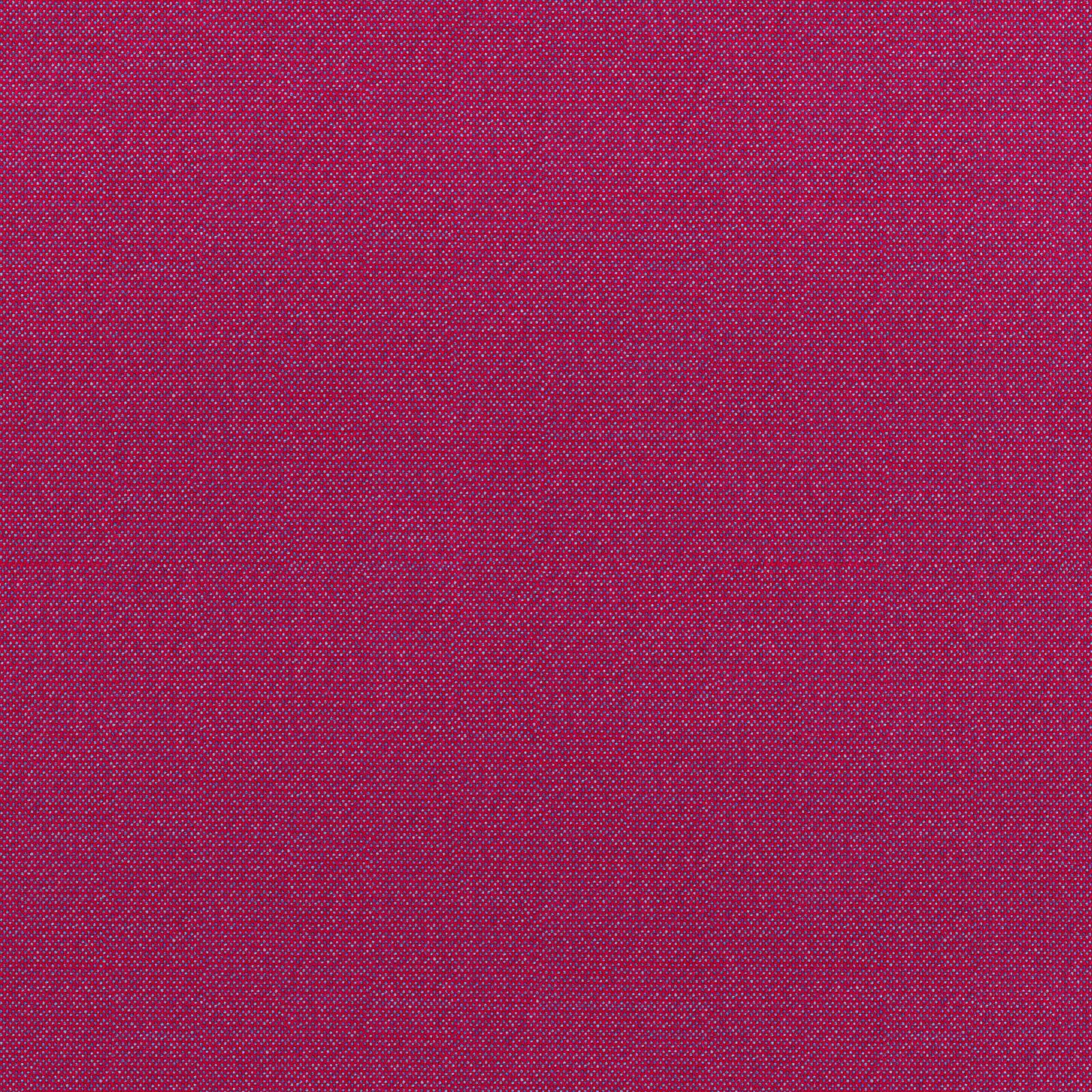 Tottenham_Fuchsia