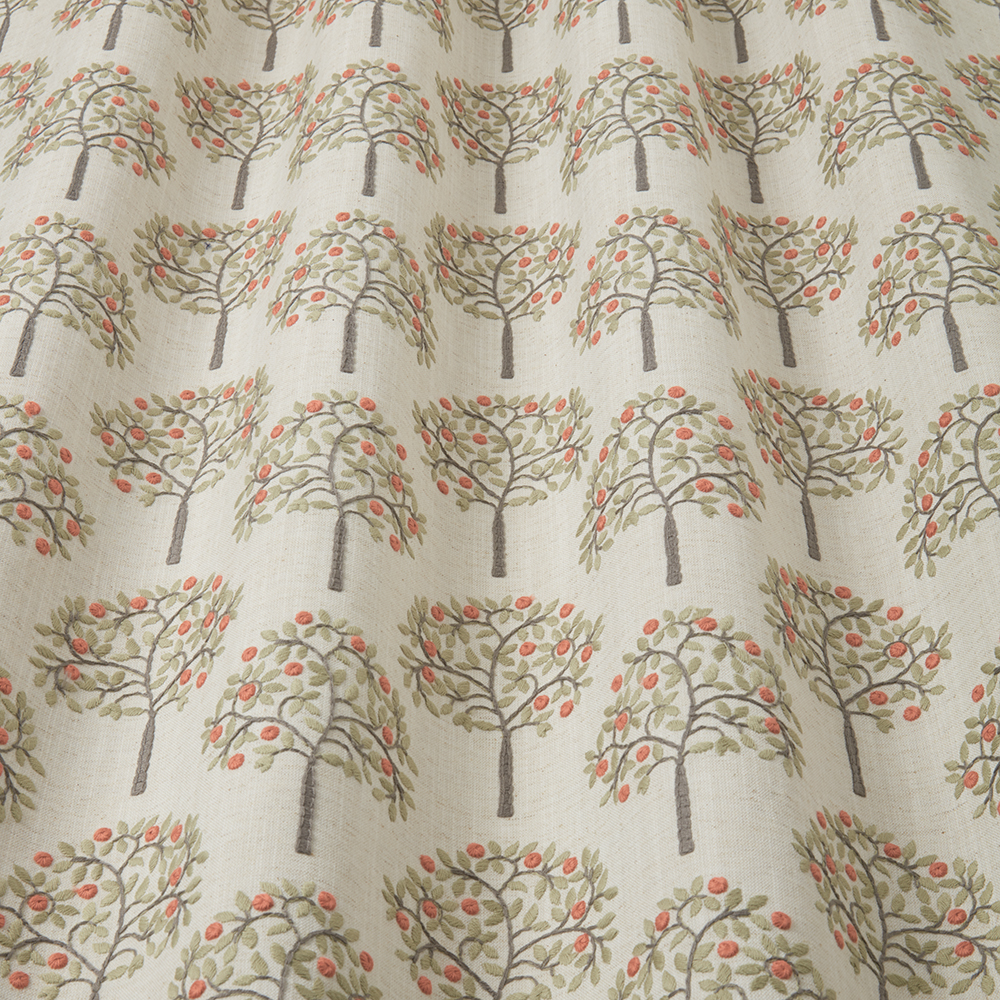 Orange Grove_Spruce