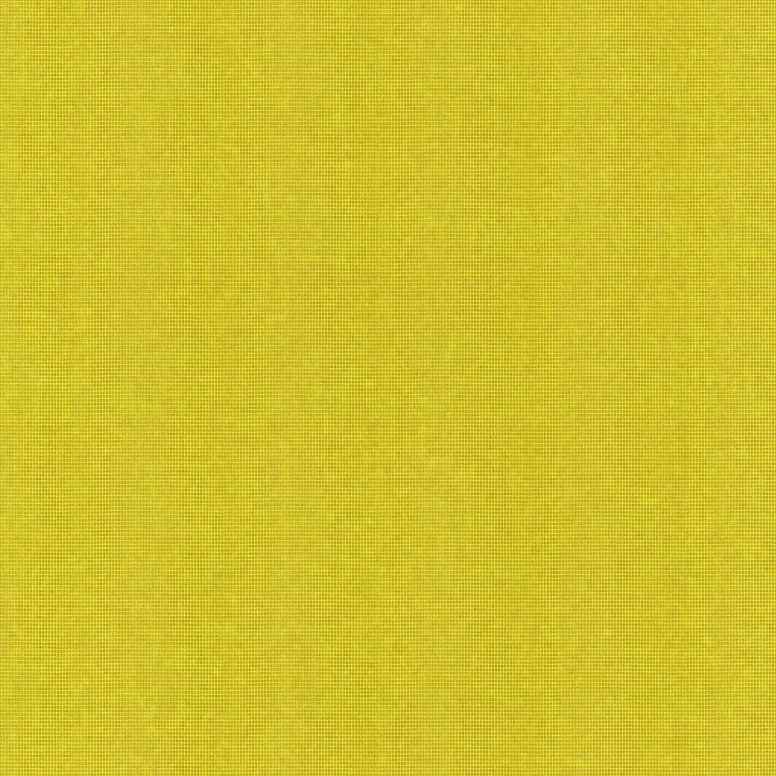 Tyberton_Sunflower