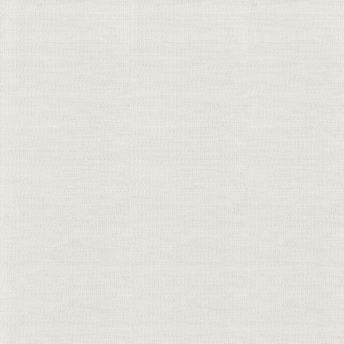 Kitano_Wool