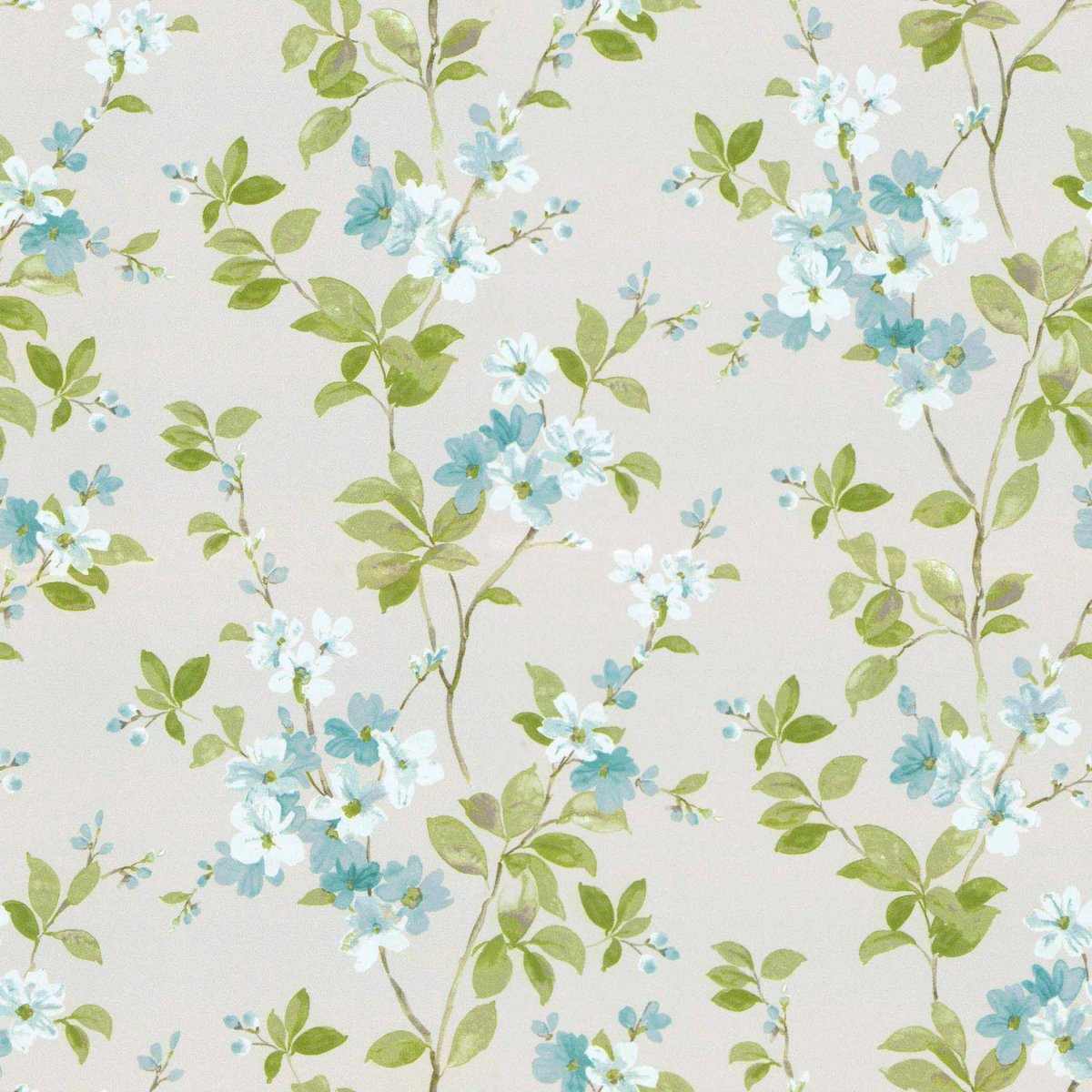Syringa_Aqua
