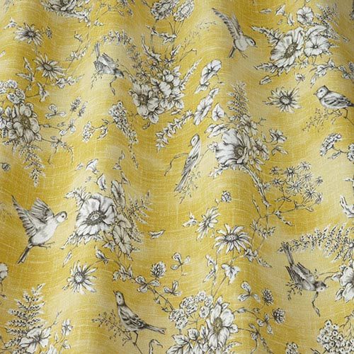 Finch toile