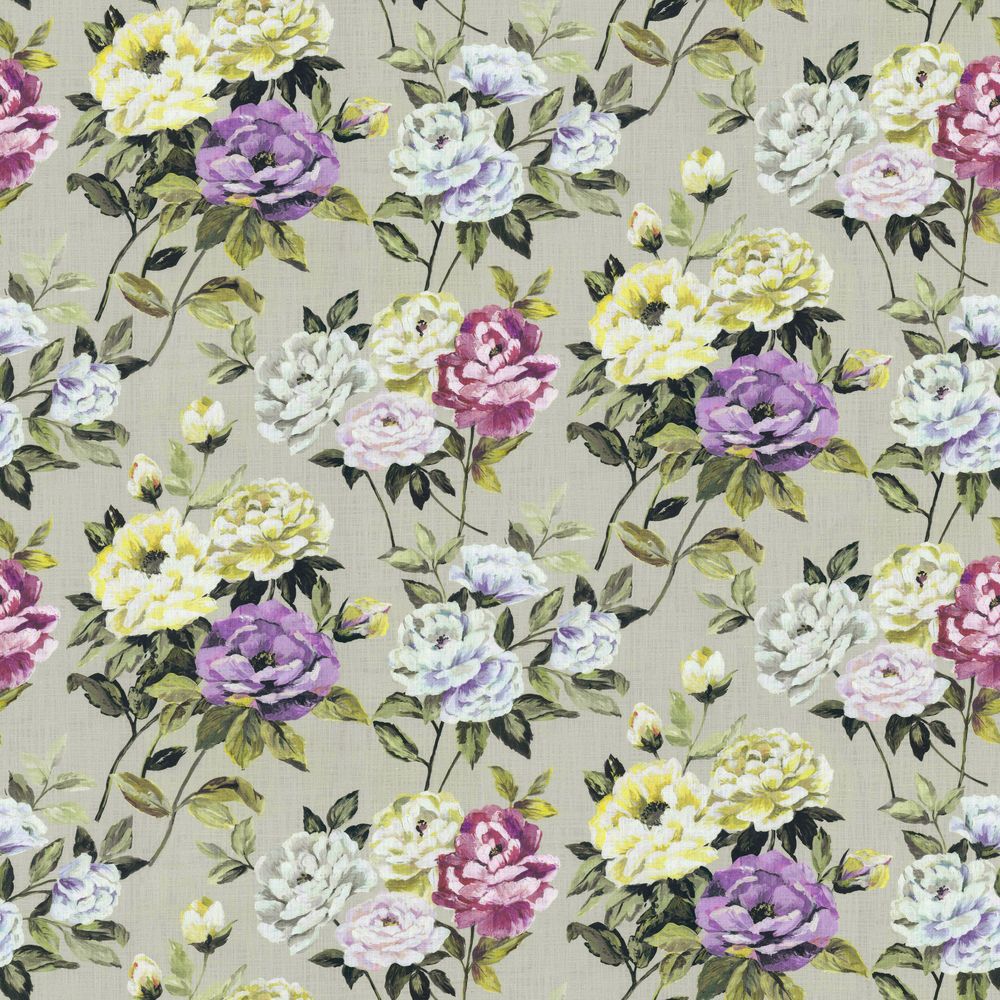 Monforte _Orchid