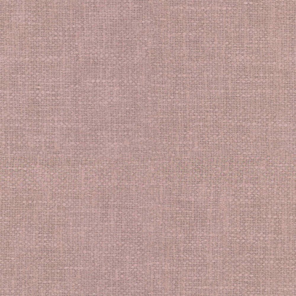 Envoy_Mauve Orchid