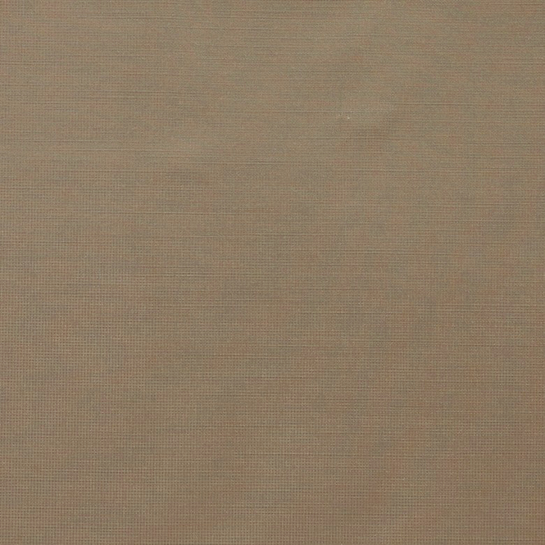 Coriano 161
